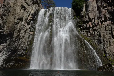 DSC_3836 (Large).JPG